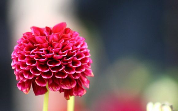 华为p10定价多少