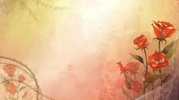 教师个人规划
