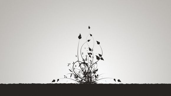 北京积分落户政策细则