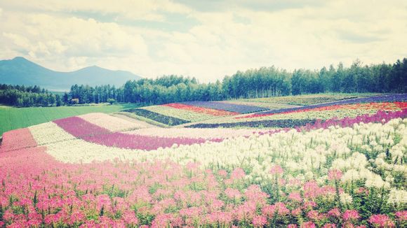 河北安全教育平台登录账号登录