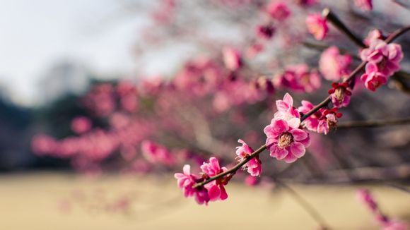 摄影师拍照多少钱