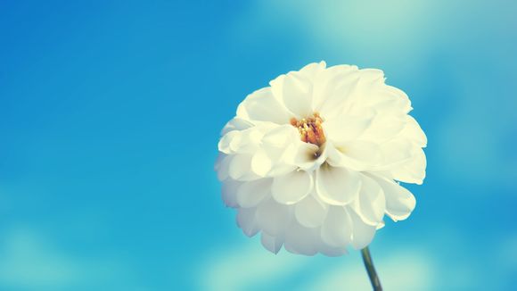 给惠网怎么用